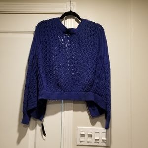Cobalt Blue Sweater